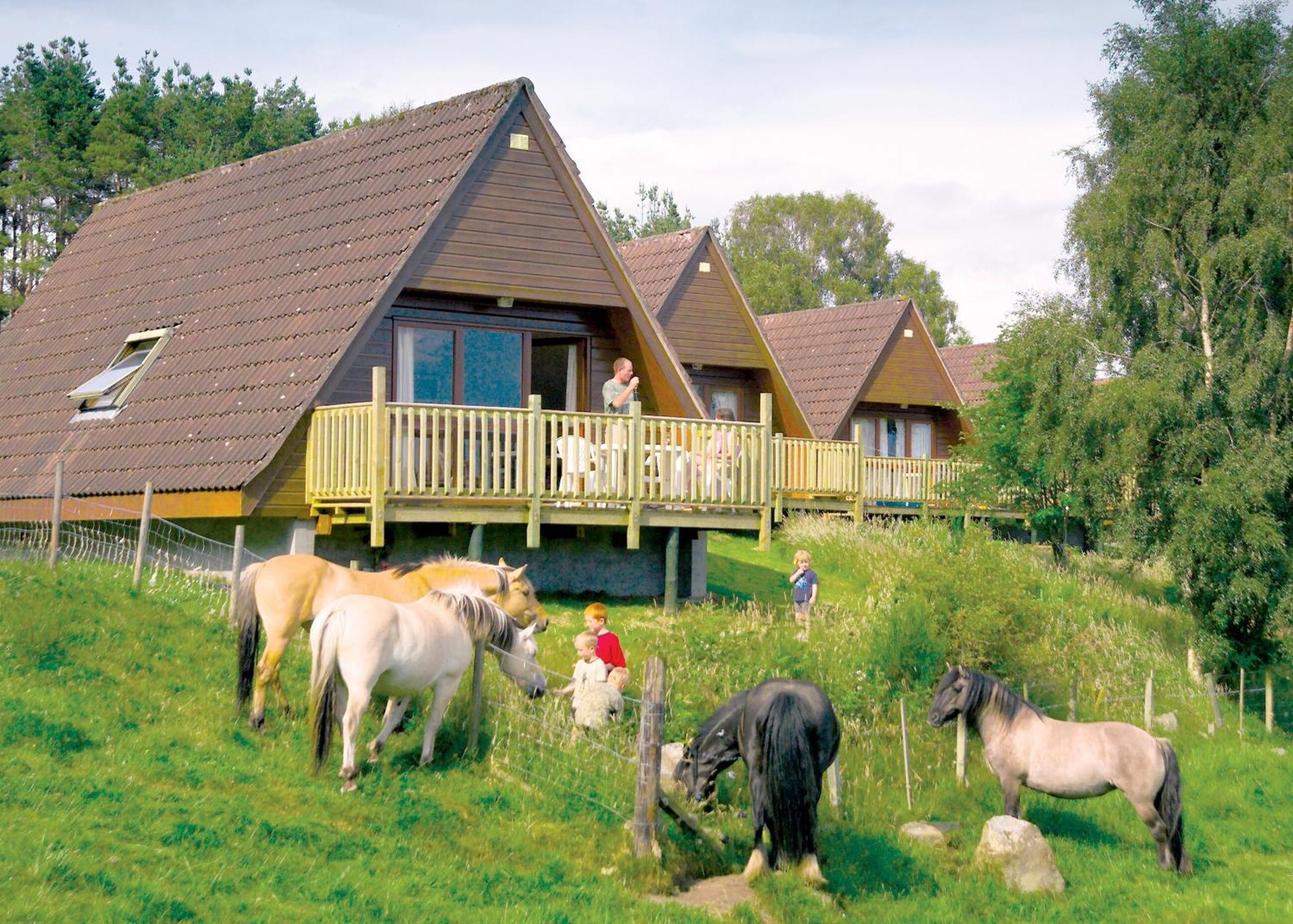 Delny Highland Lodges Invergordon Zewnętrze zdjęcie